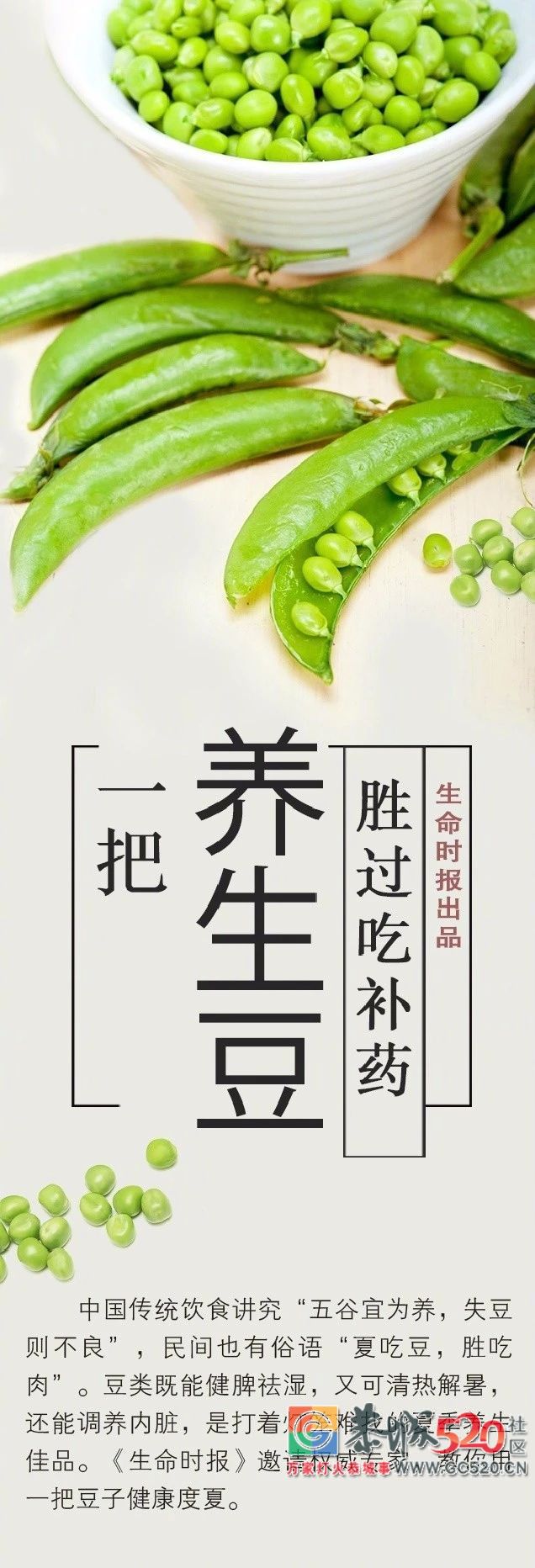 夏吃豆，胜吃肉！6种豆跟夏天是绝配960 / 作者:热天克洗冷水凉 / 帖子ID:261699