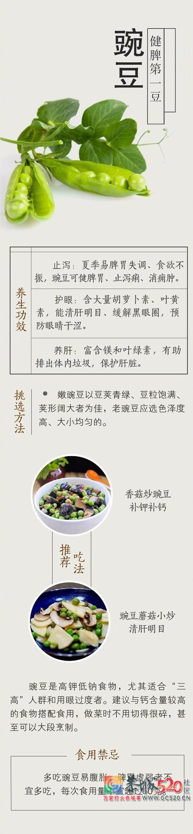 夏吃豆，胜吃肉！6种豆跟夏天是绝配767 / 作者:热天克洗冷水凉 / 帖子ID:261699