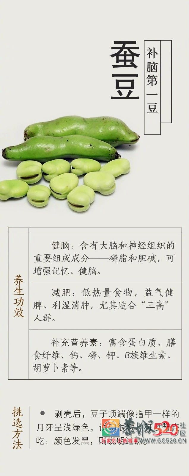 夏吃豆，胜吃肉！6种豆跟夏天是绝配300 / 作者:热天克洗冷水凉 / 帖子ID:261699