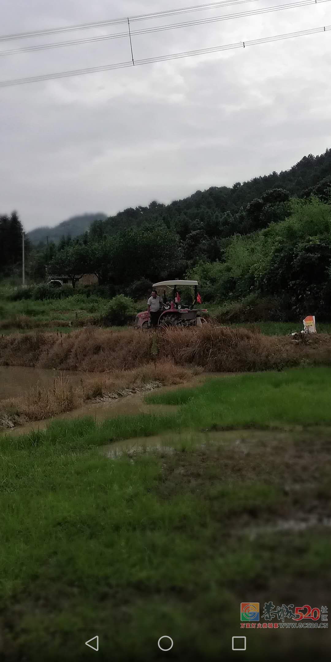 脱贫攻坚的引路人——种田能人王建平657 / 作者:茶江余晖 / 帖子ID:261711