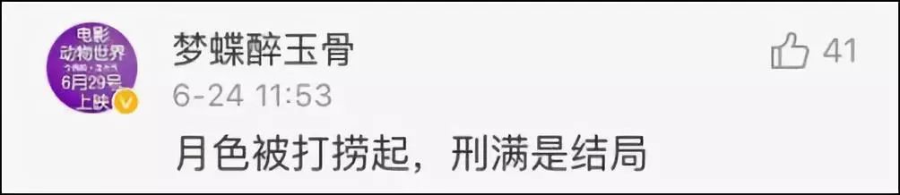 不止张学友！逃犯为看周杰伦演唱会落网，网友评论太优秀771 / 作者:碧澄匀 / 帖子ID:261730