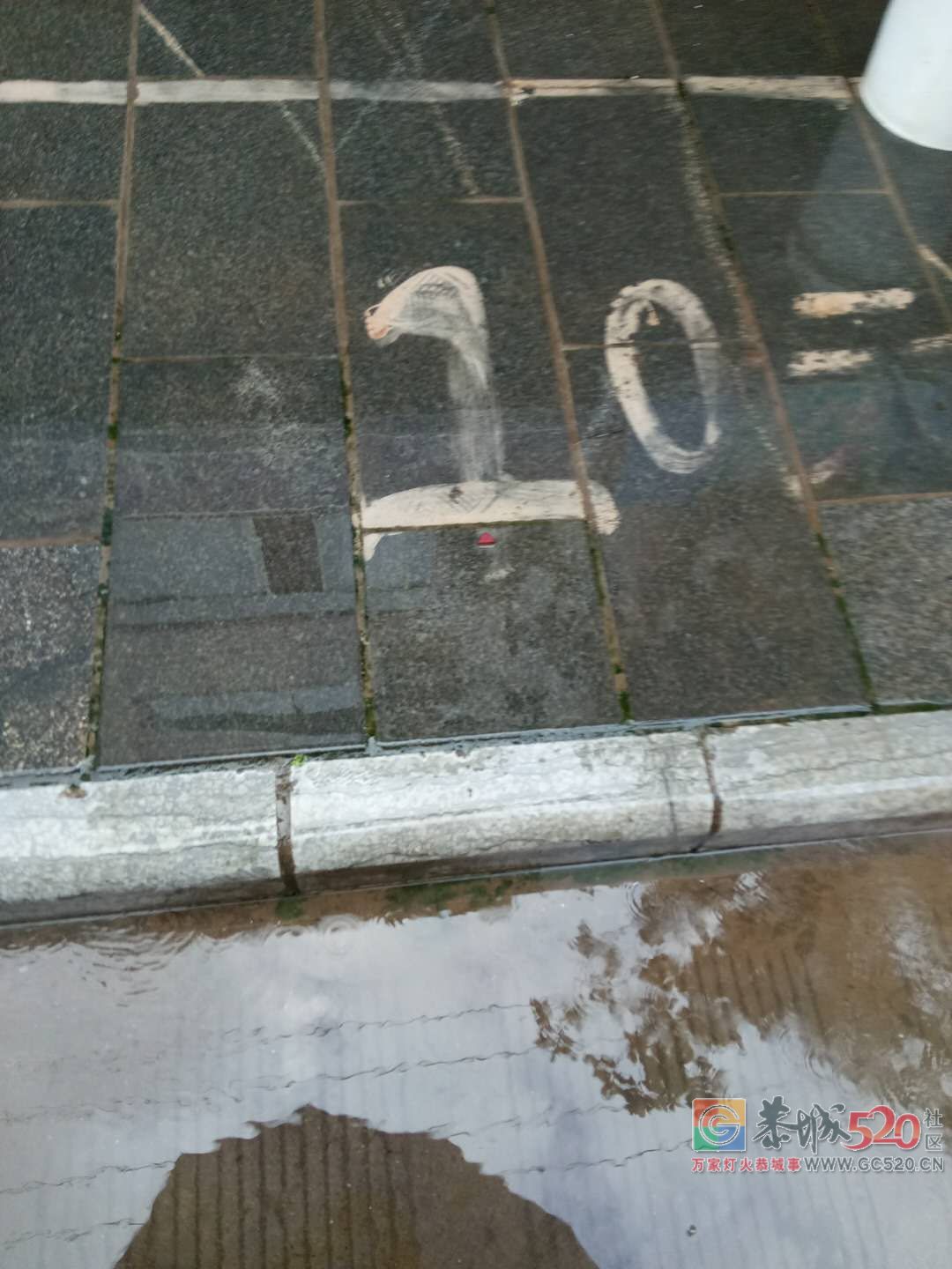 加会街上门面，竟在人行道上花筐位，明码标价收费！603 / 作者:美丽的梦花 / 帖子ID:261744