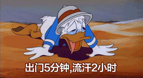 腹泻可能致死？警惕！拉肚子千万别大意802 / 作者:东门头人 / 帖子ID:261791