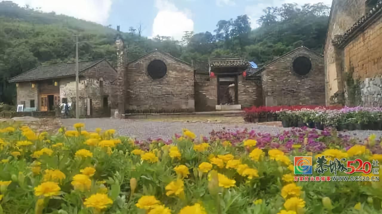《瑶乐之城》拍摄进展顺利 瑶家小院满溢欢声笑语387 / 作者:分叉路口 / 帖子ID:261801
