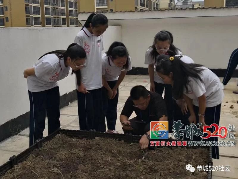 这次玩大了~恭城民族实验初中将“开心农场”搬进了校园！839 / 作者:给点阳光就灿烂 / 帖子ID:261823