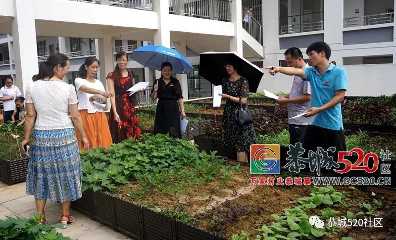 这次玩大了~恭城民族实验初中将“开心农场”搬进了校园！147 / 作者:给点阳光就灿烂 / 帖子ID:261823