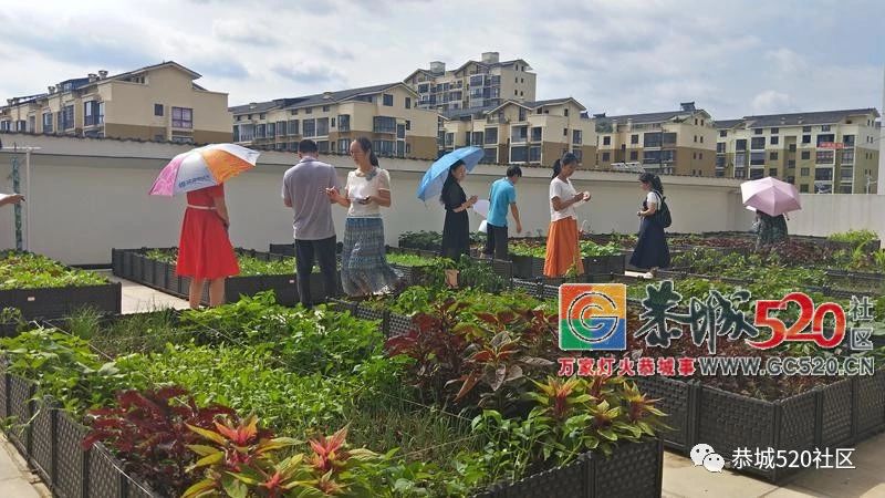 这次玩大了~恭城民族实验初中将“开心农场”搬进了校园！95 / 作者:给点阳光就灿烂 / 帖子ID:261823