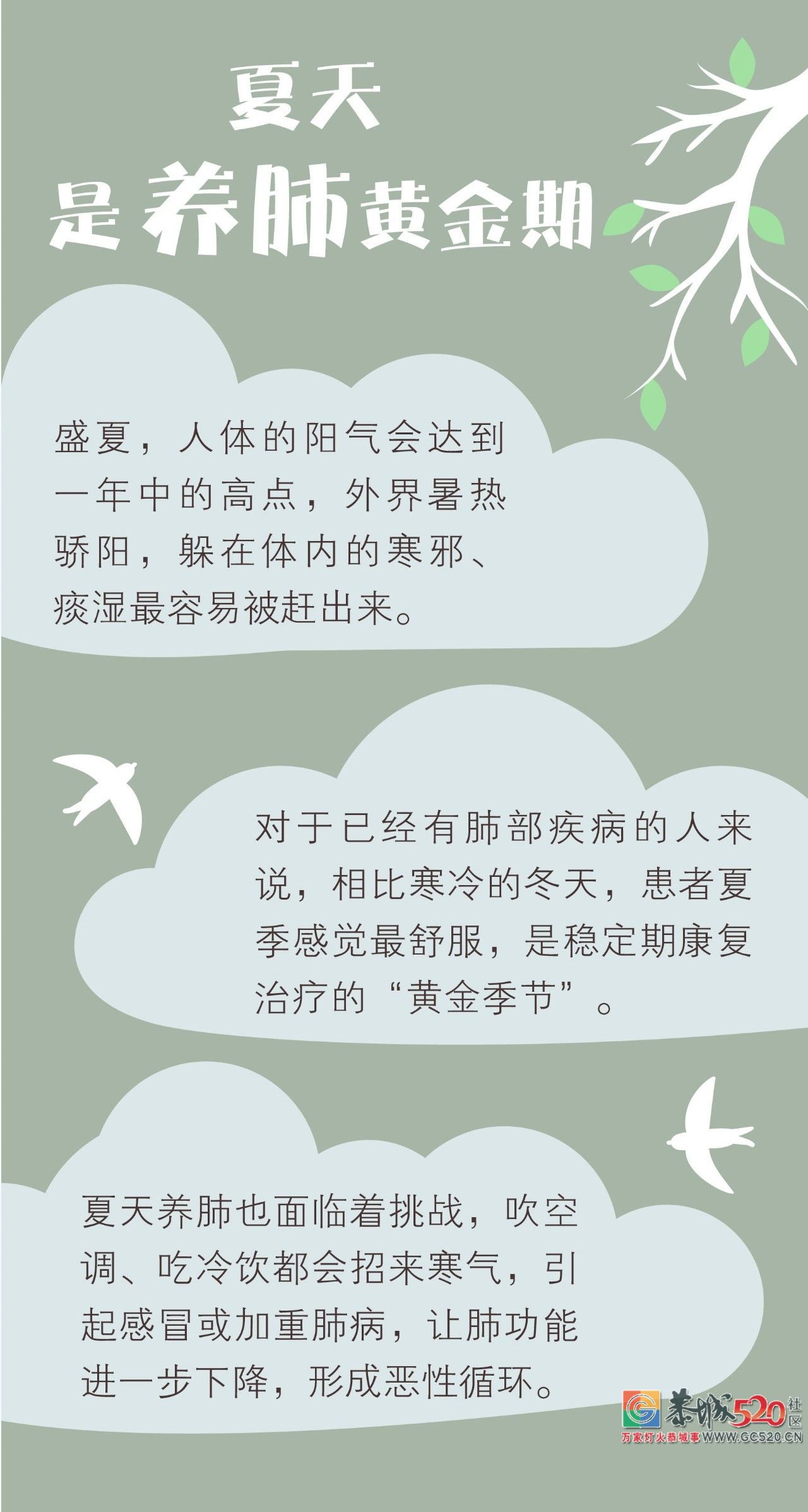 夏天养好肺，秋冬少受罪！千万别做这8件“伤肺事”106 / 作者:茶江余晖 / 帖子ID:261826