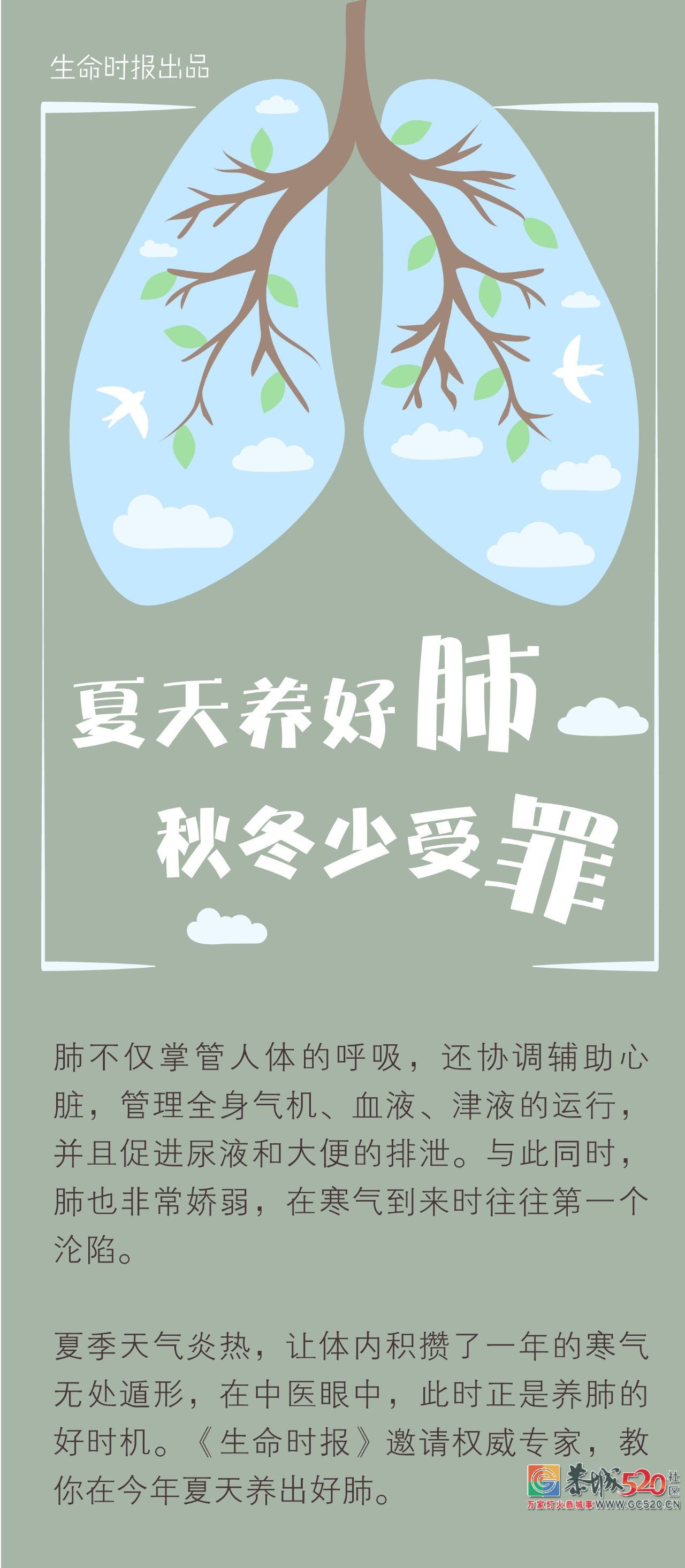 夏天养好肺，秋冬少受罪！千万别做这8件“伤肺事”801 / 作者:茶江余晖 / 帖子ID:261826