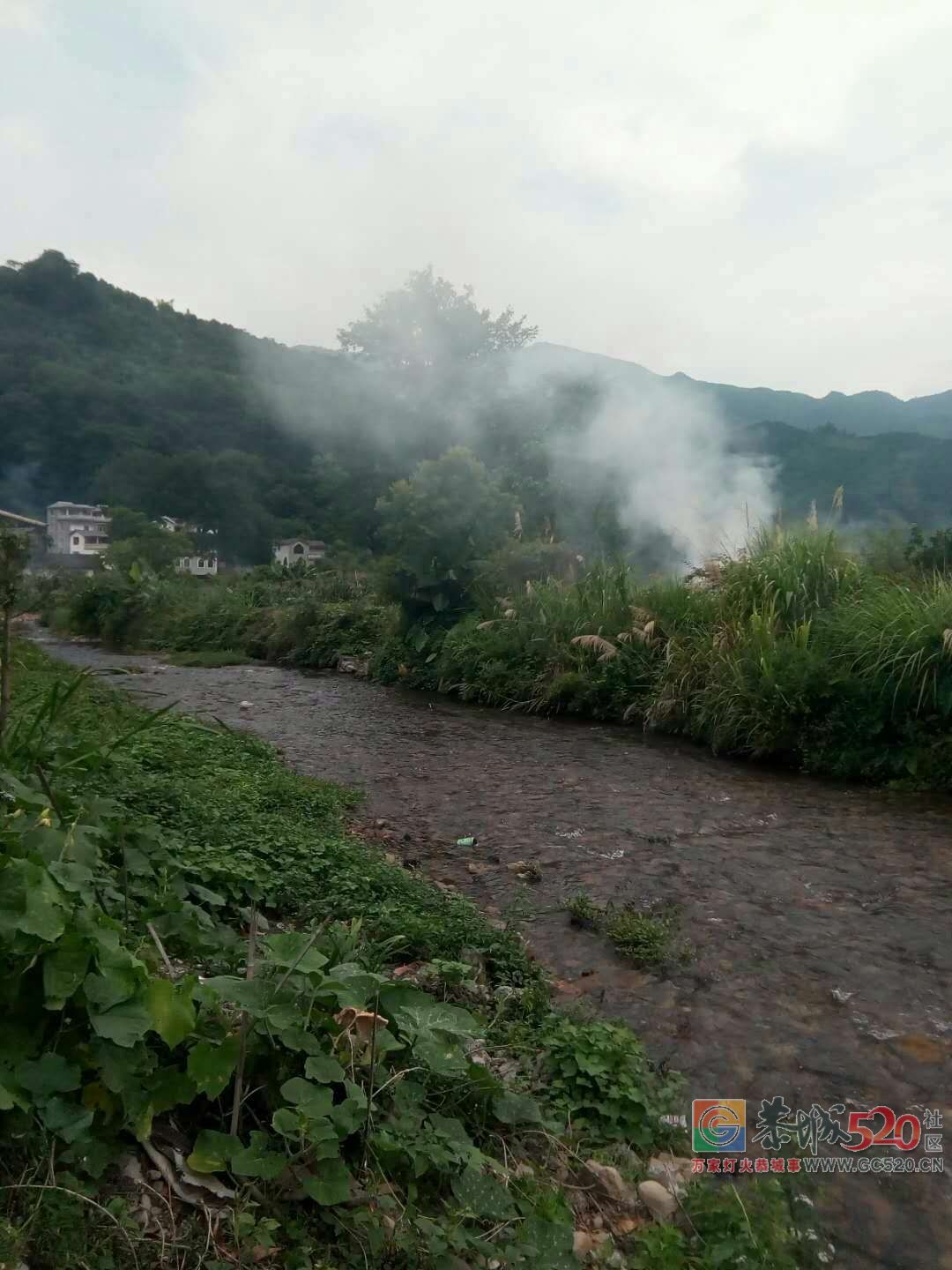 观音乡荒地上有人烧垃圾,垃圾低温闷烧产生的有毒烟雾吹向小溪对面的民居!682 / 作者:恭城男人好 / 帖子ID:261836