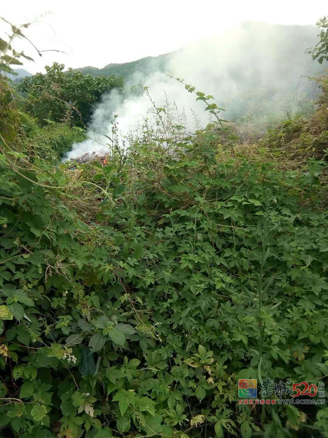 观音乡荒地上有人烧垃圾,垃圾低温闷烧产生的有毒烟雾吹向小溪对面的民居!948 / 作者:恭城男人好 / 帖子ID:261836