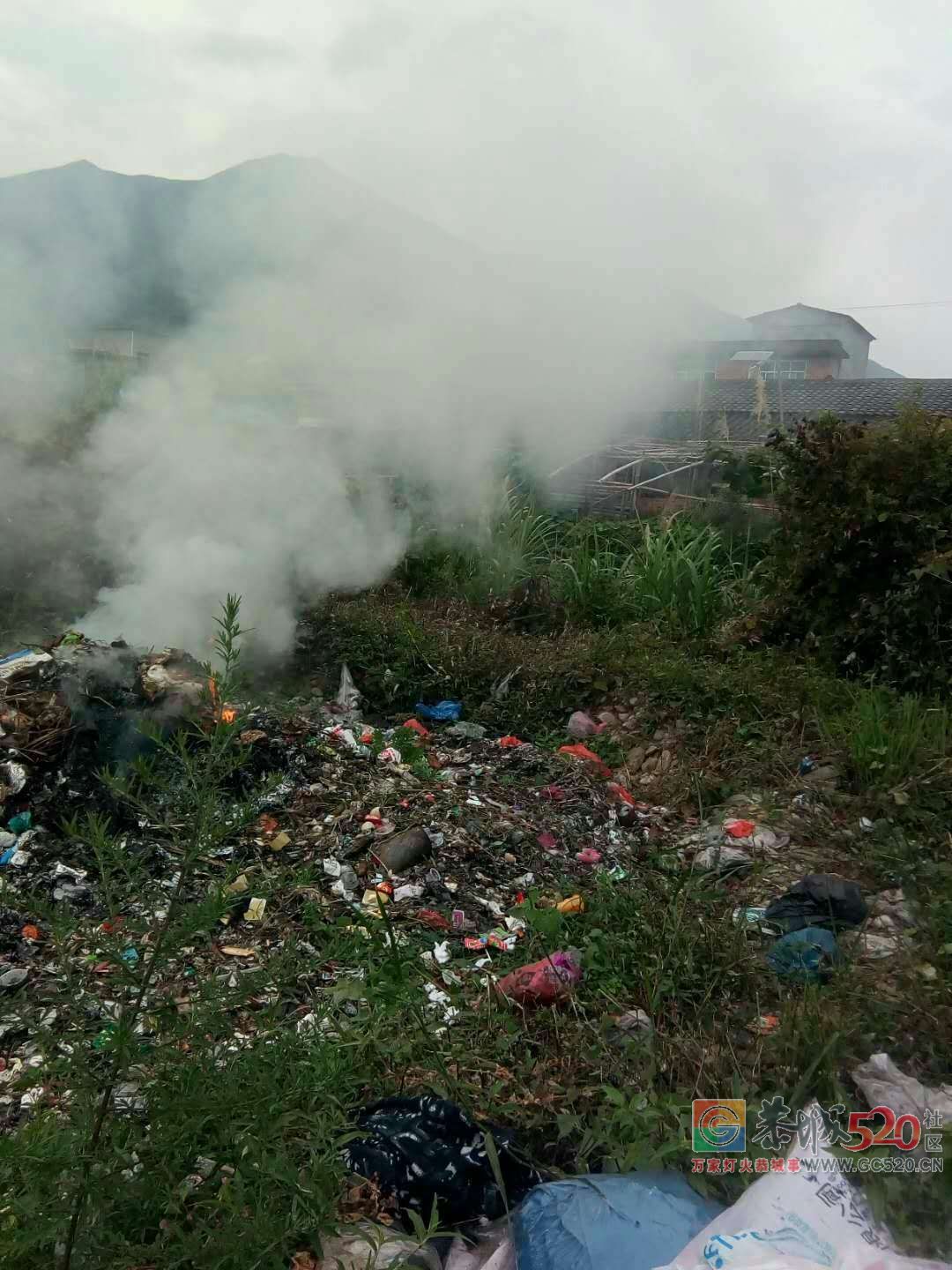 观音乡荒地上有人烧垃圾,垃圾低温闷烧产生的有毒烟雾吹向小溪对面的民居!877 / 作者:恭城男人好 / 帖子ID:261836