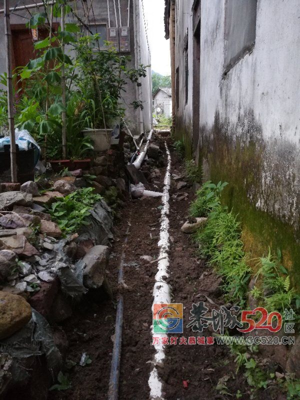 观音乡石坪村污水处理工程，有些太坑农民了！749 / 作者:脚踏实地 / 帖子ID:261840