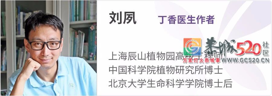 这类常见菜，吃错会中毒！请小心616 / 作者:该做的事情 / 帖子ID:261872