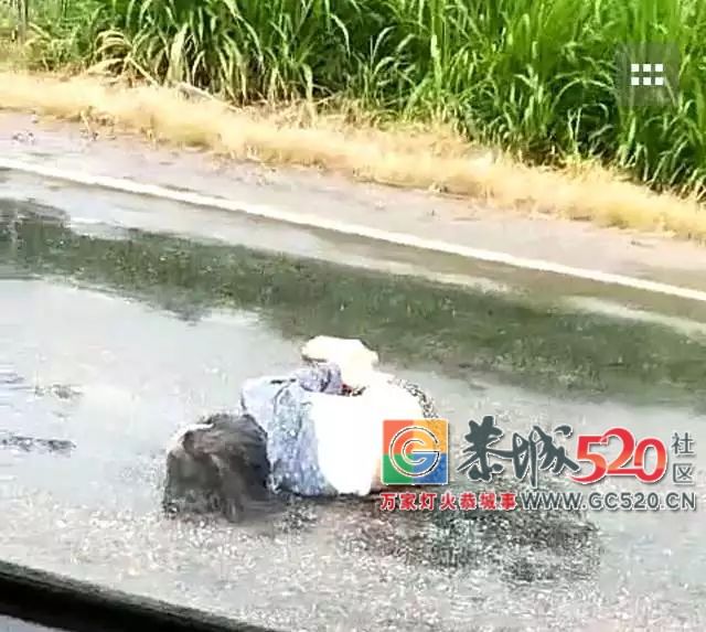 【突发】一老人在恭城张家洼路段被撞，不幸身亡！114 / 作者:东门头人 / 帖子ID:261924