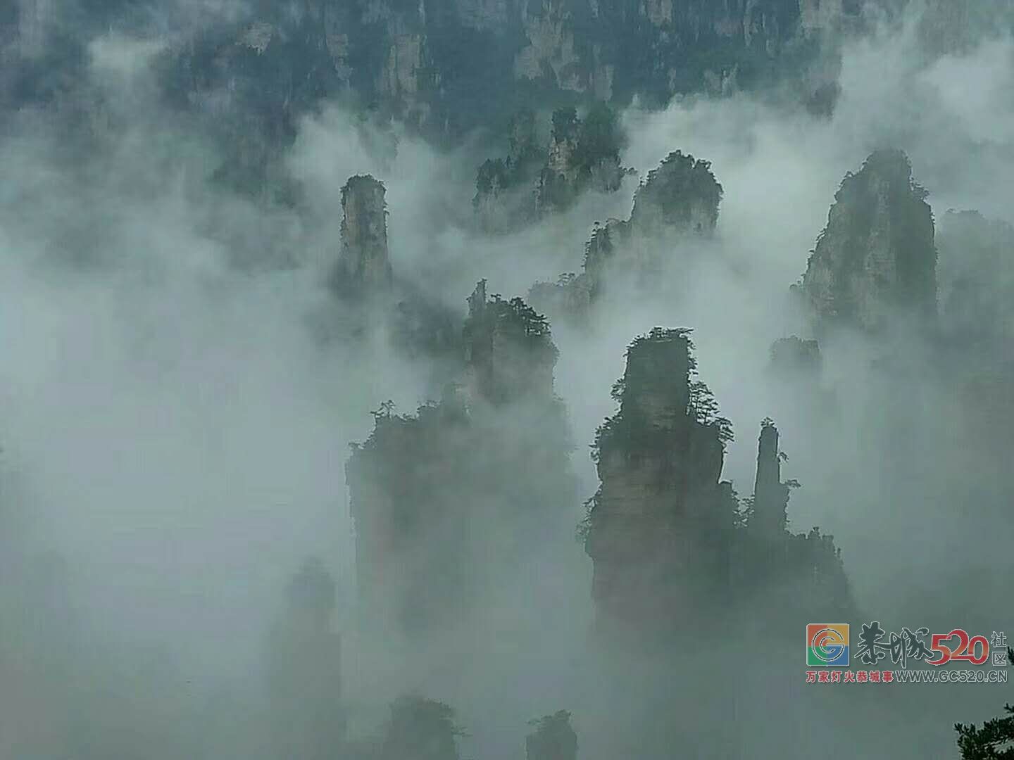 张家界森林公园~天门山~凤凰古城四日游路线61 / 作者:张家界旅游 / 帖子ID:260926