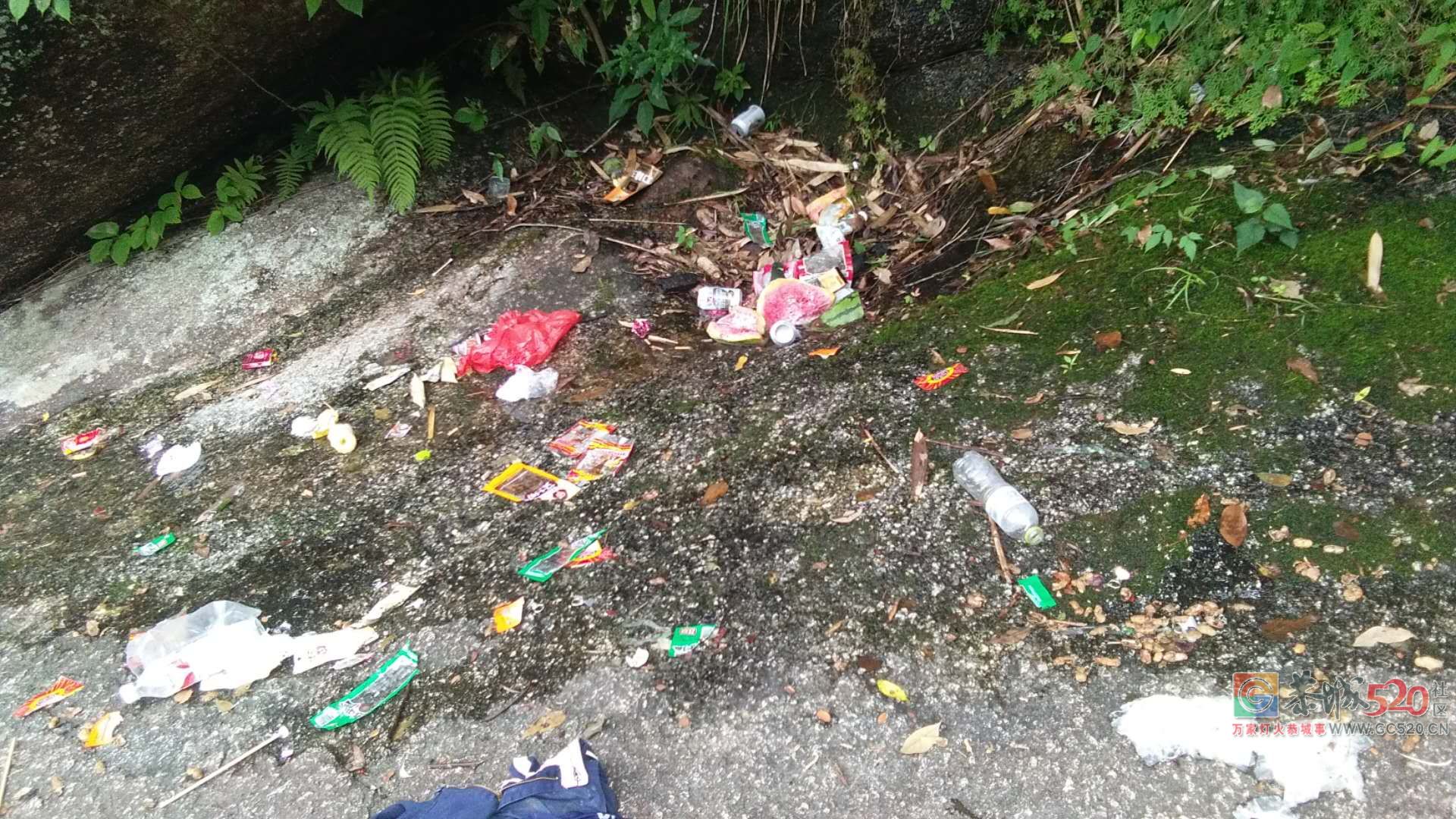 去雷劈石旅游的朋友能不能看一下公告726 / 作者:逢时 / 帖子ID:261930