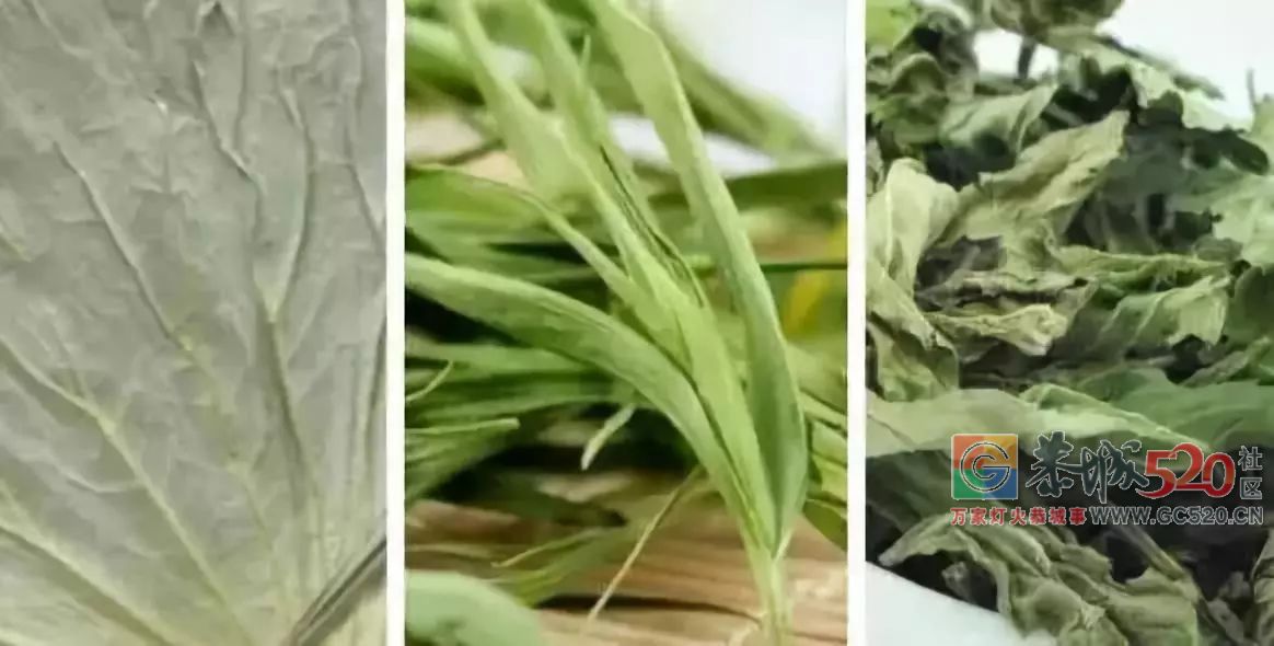 三伏天吃什么最养生？三花三叶三豆三果，让你安然度夏！286 / 作者:美丽的梦花 / 帖子ID:261956