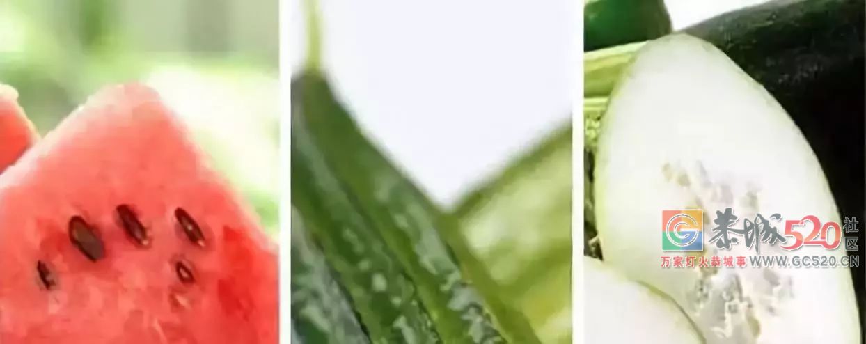 三伏天吃什么最养生？三花三叶三豆三果，让你安然度夏！24 / 作者:美丽的梦花 / 帖子ID:261956