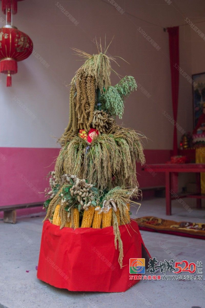 敬祖尊老盼丰年，莲花凤岩第四届“五谷文化节”604 / 作者:渲染人生 / 帖子ID:261968