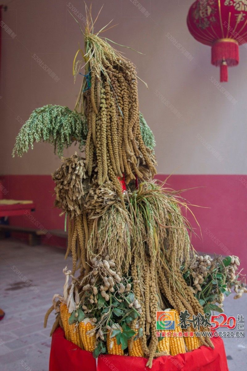 敬祖尊老盼丰年，莲花凤岩第四届“五谷文化节”7 / 作者:渲染人生 / 帖子ID:261968