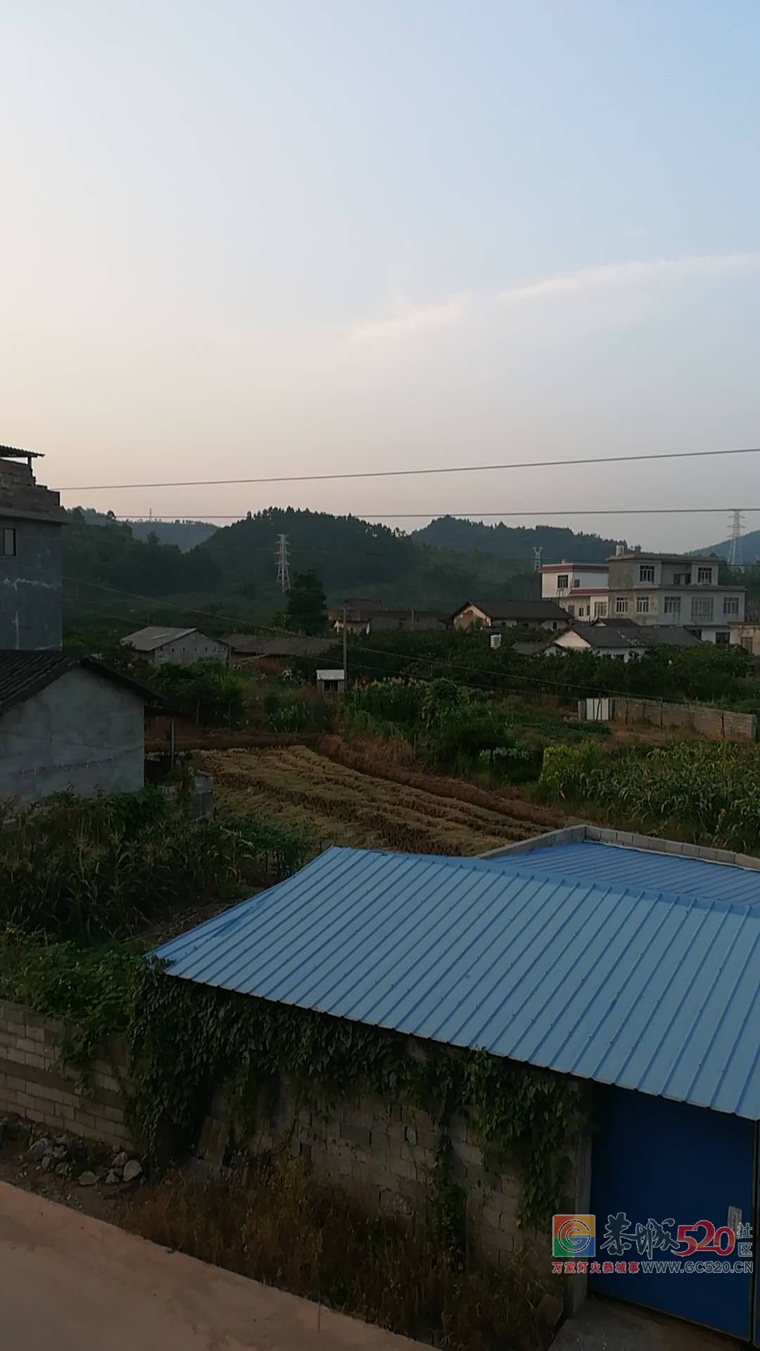 哪个在杨柳村养猪臭死一村人27 / 作者:登山涉水 / 帖子ID:261969