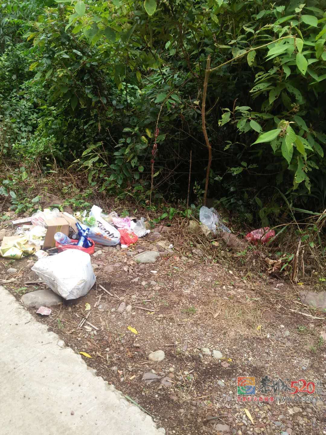 乱丢垃圾的人，我们嘉会西南不欢迎你们！560 / 作者:恭城是我家 / 帖子ID:261998
