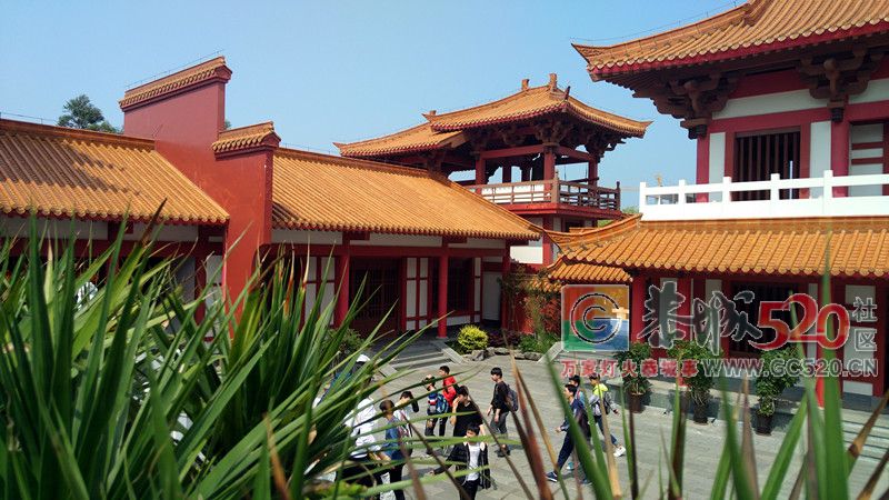 恭城瑶族博物馆“我是小小讲解员”活动招募公告317 / 作者:柚子壳※ / 帖子ID:261999