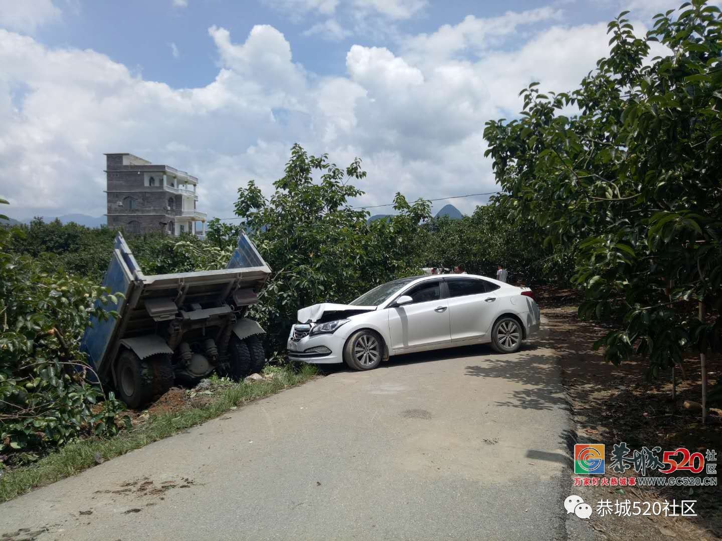 危险！大车与小车在恭城红岩一转弯处相撞，直接冲下路旁果园376 / 作者:花开似花落、 / 帖子ID:262904