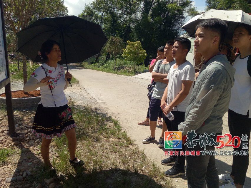 西北民族大学暑期实践活动小分队在恭城调研发展油茶文化产品创意开发867 / 作者:分类小编 / 帖子ID:262943