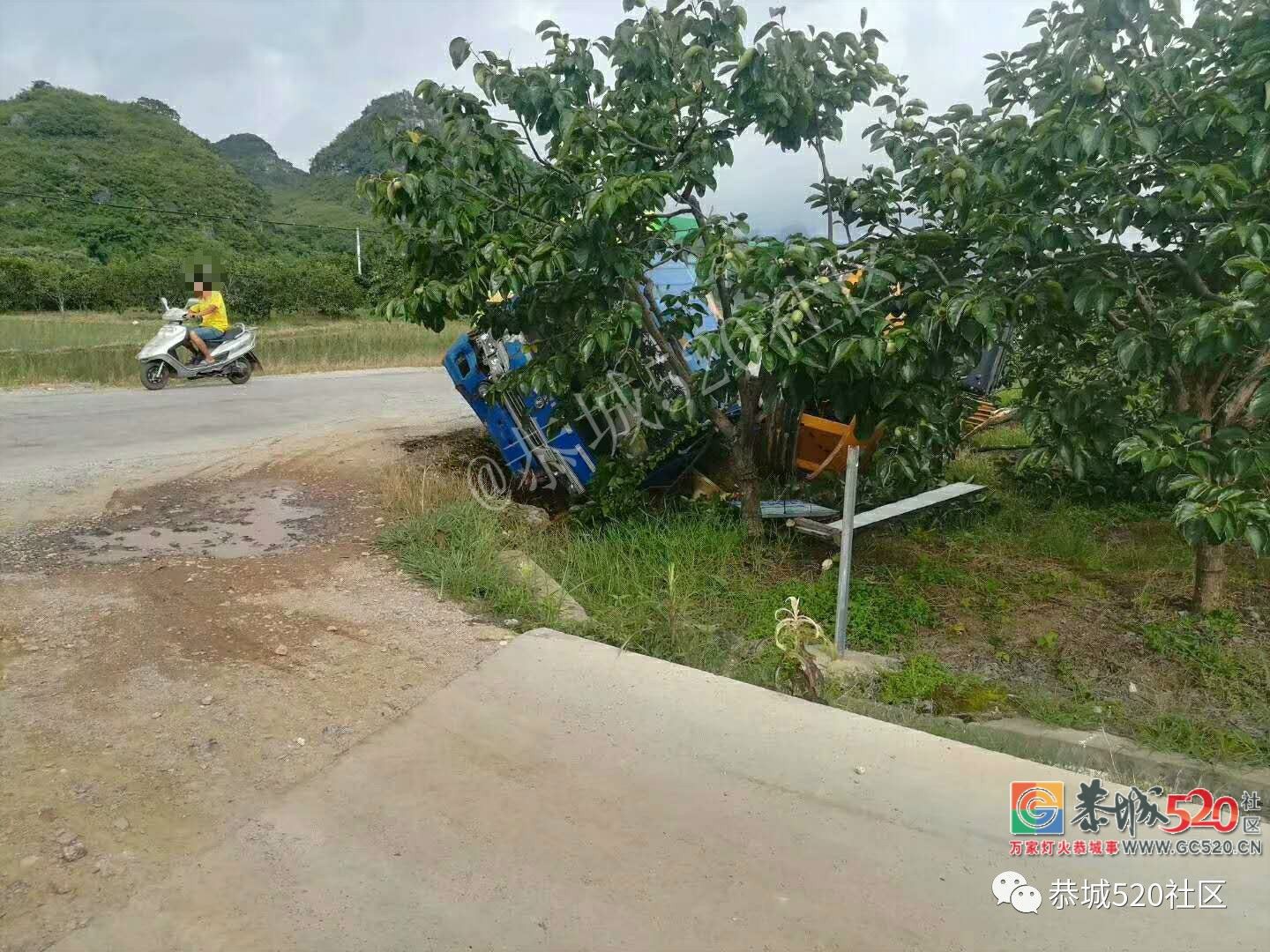 险！西岭路段一拖车拉着挖掘机与小货车冲下道路两旁果地742 / 作者:分类小编 / 帖子ID:262956