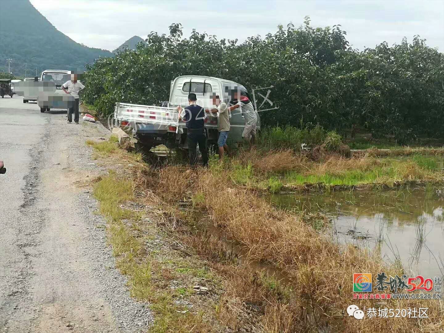 险！西岭路段一拖车拉着挖掘机与小货车冲下道路两旁果地963 / 作者:分类小编 / 帖子ID:262956