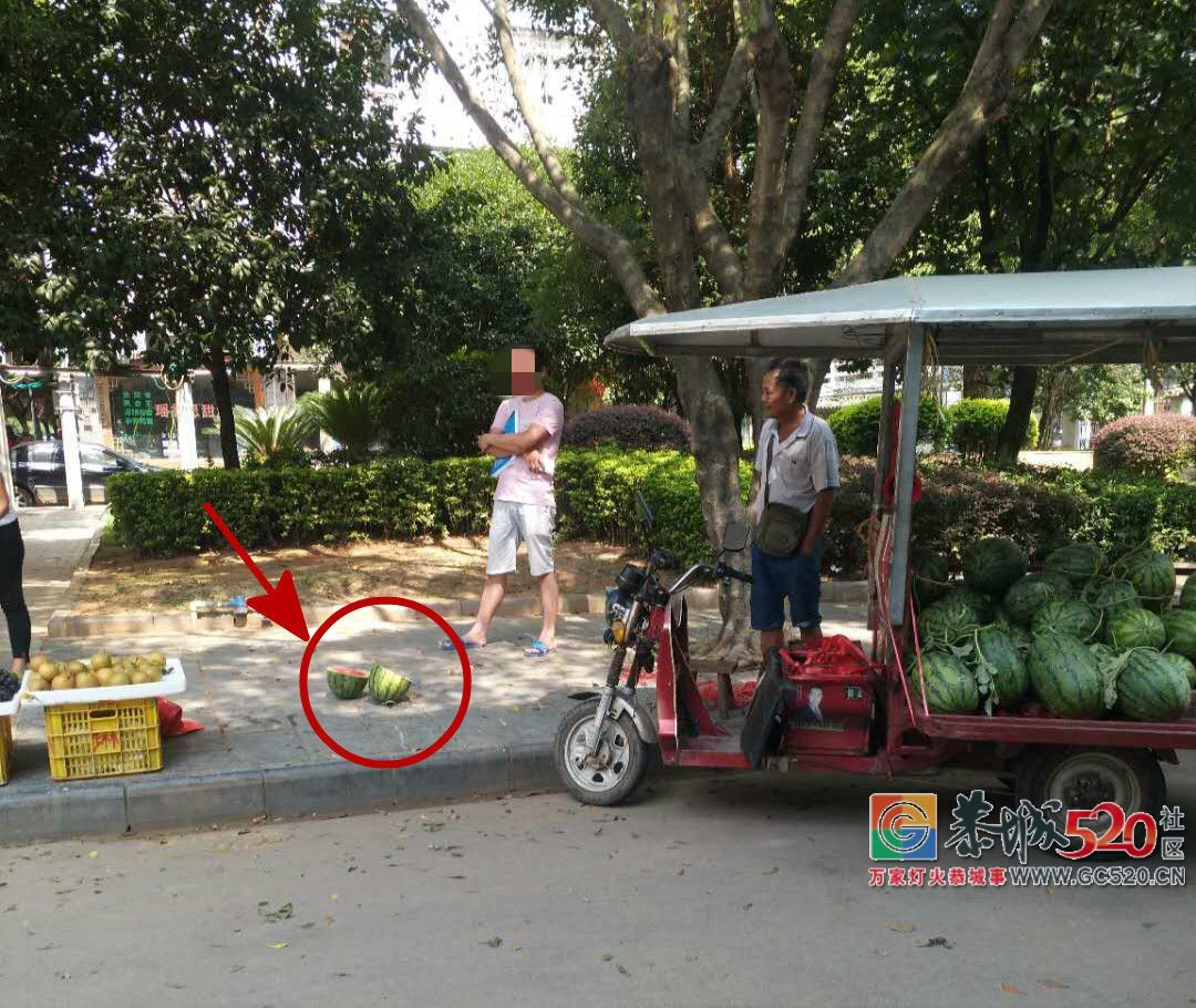 【恭城身边事】外地男子在一老人摊位上买西瓜，无理取闹拒付钱1 / 作者:禁咒师 / 帖子ID:262985