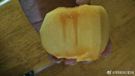 恭城甜脆柿子上市了啵！！！874 / 作者:东门头人 / 帖子ID:263047