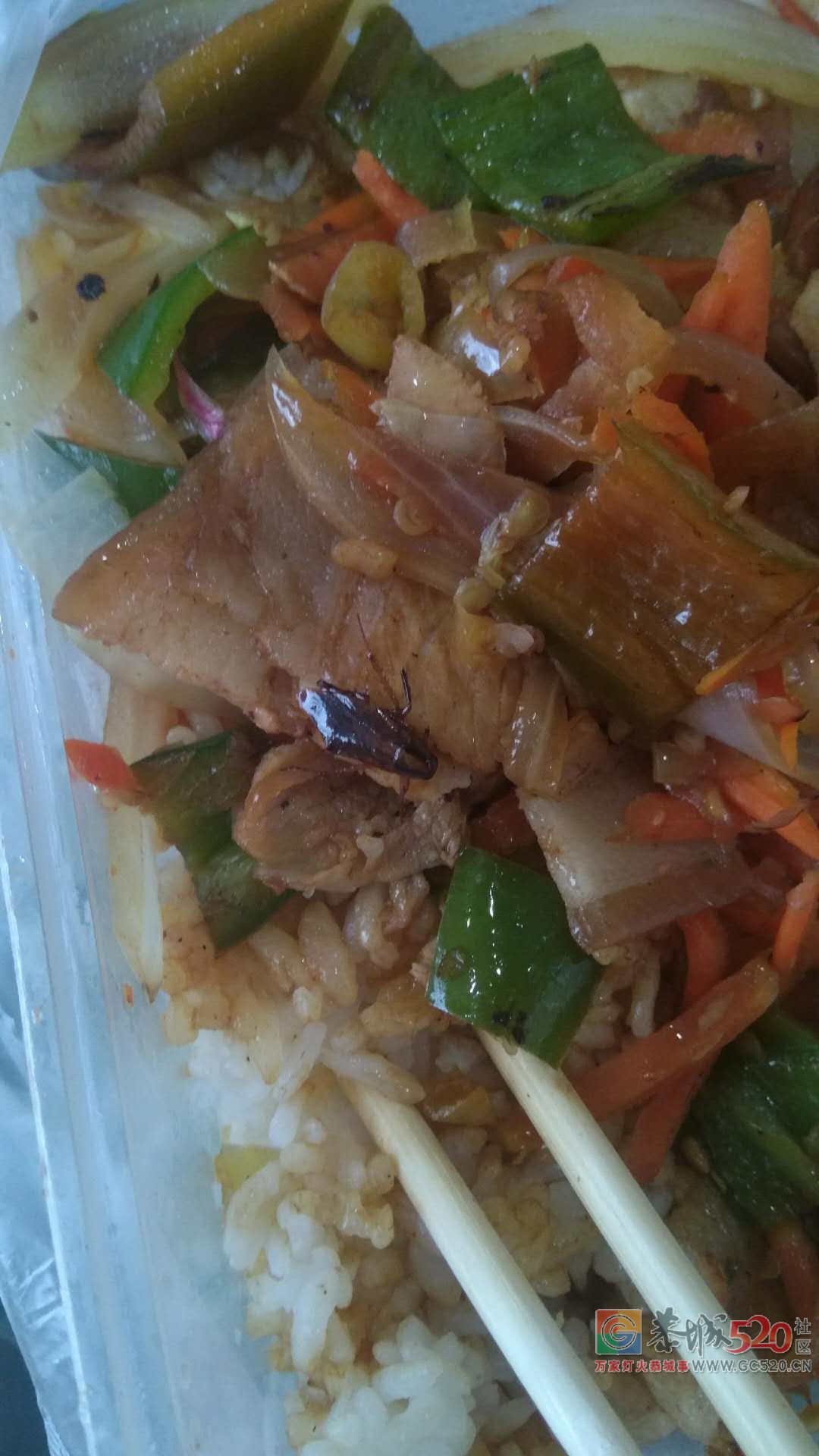 恶心死我了！恭城汤霸食府外卖吃出了蟑螂!107 / 作者:单身狗的生活 / 帖子ID:263075