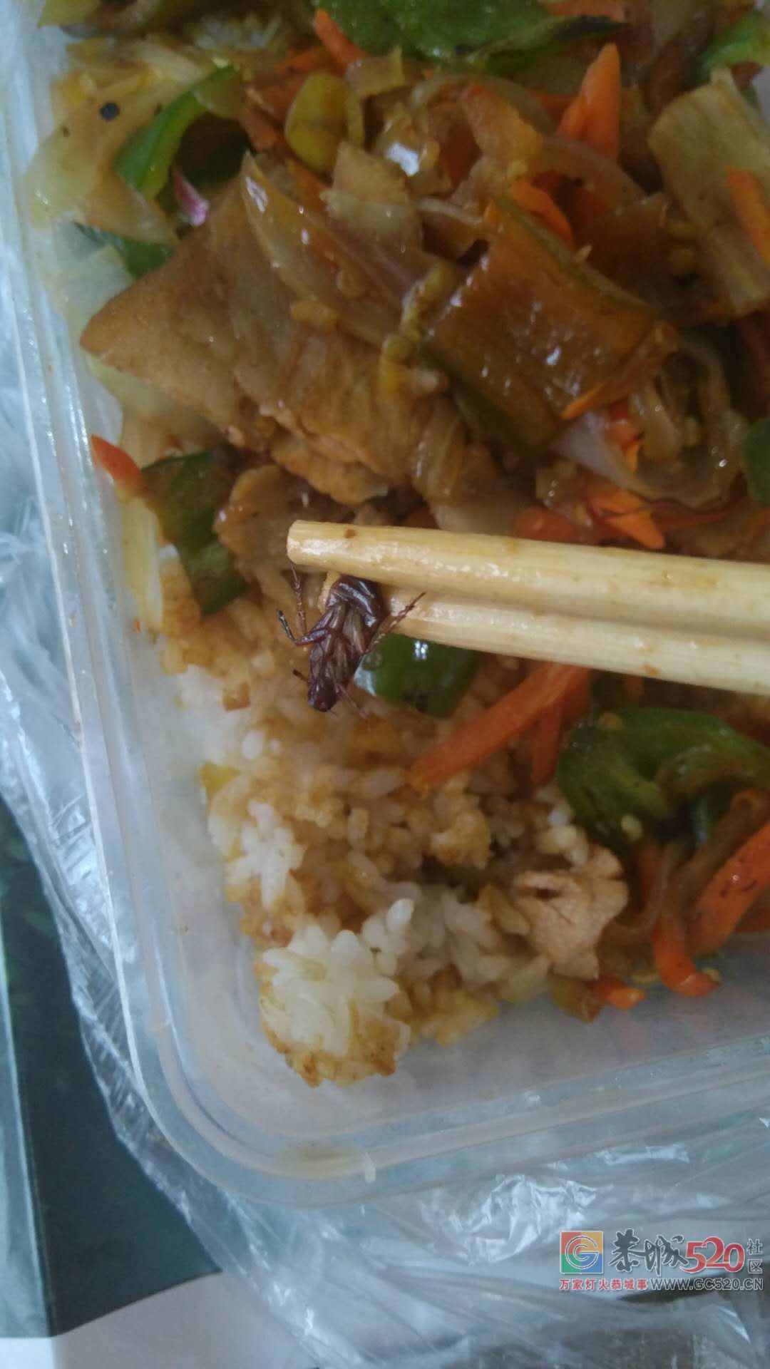 恶心死我了！恭城汤霸食府外卖吃出了蟑螂!407 / 作者:单身狗的生活 / 帖子ID:263075
