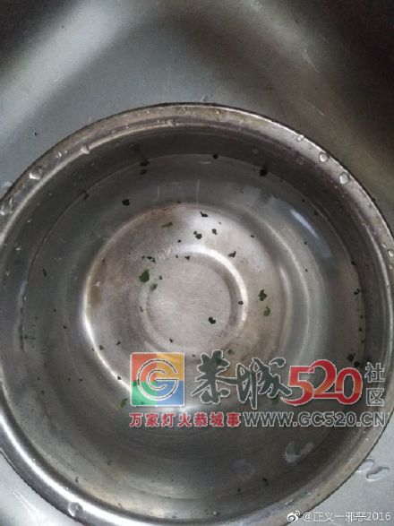 莲花镇水厂自来水的水，夹杂绿色的不明物质！77 / 作者:凤凰山脚的人家 / 帖子ID:263096