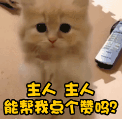 蚊子动不动就发“大红包”！驱蚊贴没用？检测显示50种驱蚊产品无一有效974 / 作者:狗婆蛇 / 帖子ID:263103