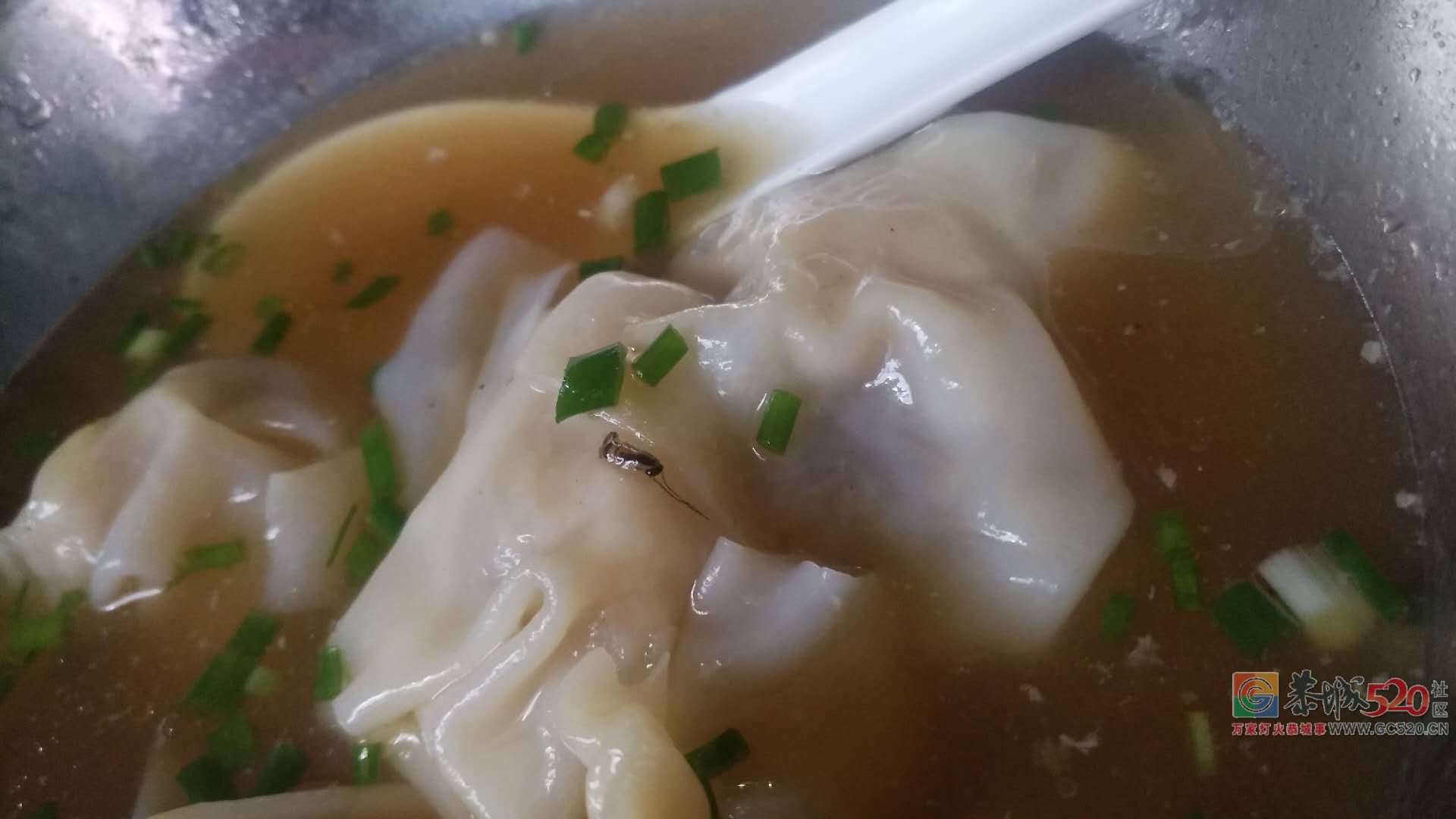 恶心 在恭城这家米粉吃东西吃出虫子！127 / 作者:承接水电安装 / 帖子ID:263114