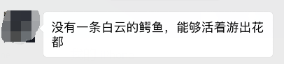 广州流溪河抓到一条2米长的鳄鱼！是真的！不能吃！993 / 作者:狗婆蛇 / 帖子ID:263157