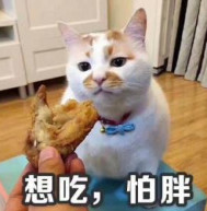广州流溪河抓到一条2米长的鳄鱼！是真的！不能吃！708 / 作者:狗婆蛇 / 帖子ID:263157