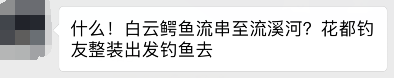 广州流溪河抓到一条2米长的鳄鱼！是真的！不能吃！119 / 作者:狗婆蛇 / 帖子ID:263157