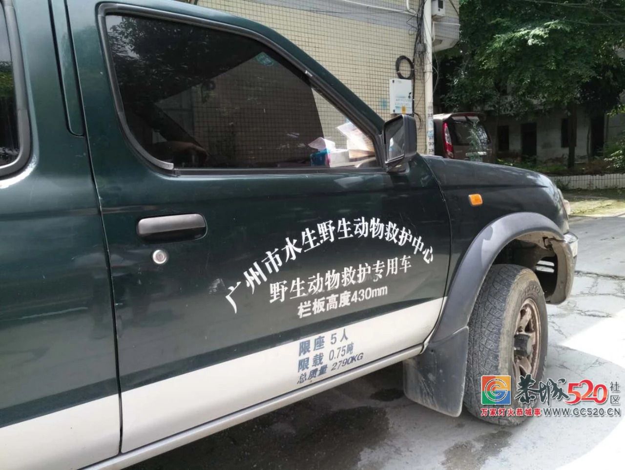 广州流溪河抓到一条2米长的鳄鱼！是真的！不能吃！345 / 作者:狗婆蛇 / 帖子ID:263157