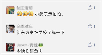 广州流溪河抓到一条2米长的鳄鱼！是真的！不能吃！200 / 作者:狗婆蛇 / 帖子ID:263157