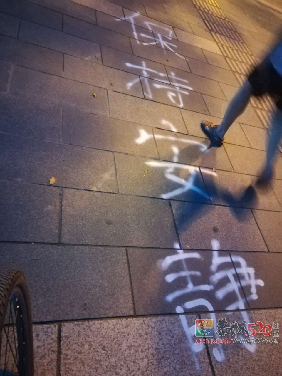 在浮桥头旁边的人行道上，被人写了“保持安静”字样！336 / 作者:baby甜心 / 帖子ID:263189