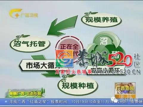 垃圾生态化处理为恭城优质人居环境添“靓”点910 / 作者:baby甜心 / 帖子ID:263199