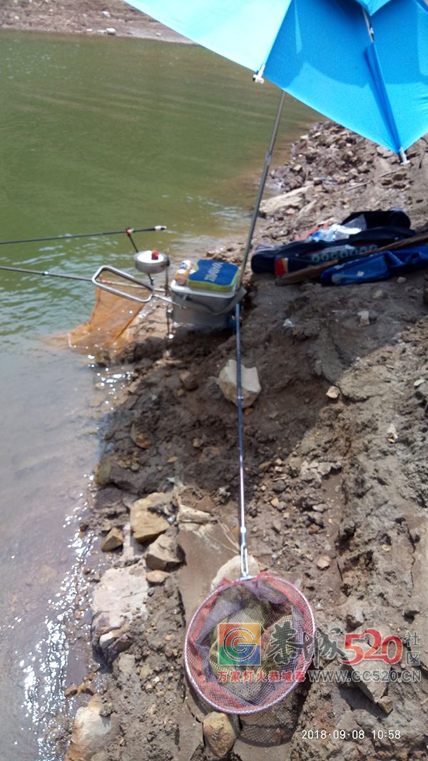 9月水库钓鱼状况汇报 MDG652 / 作者:MDG / 帖子ID:263211