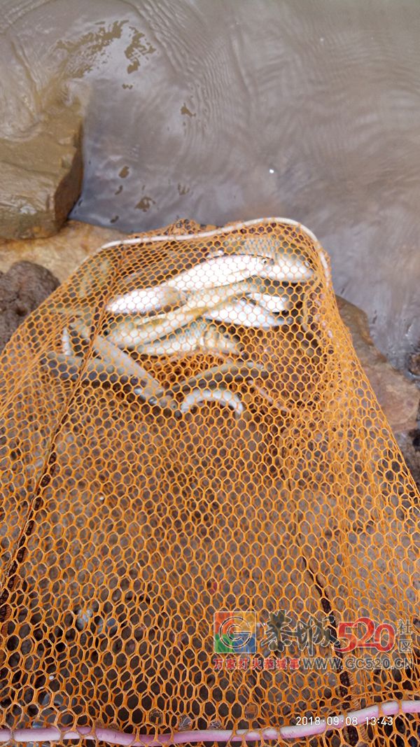 9月水库钓鱼状况汇报 MDG88 / 作者:MDG / 帖子ID:263211