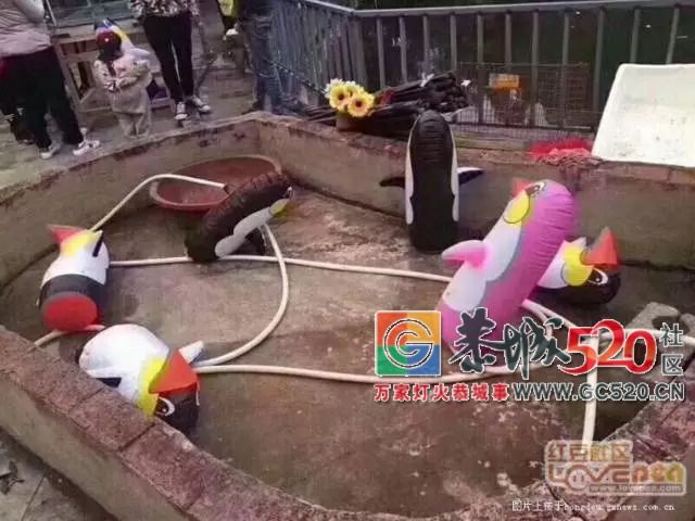 你在逗我吗？广西一“海洋世界馆”开张，现场只有十几个鱼缸843 / 作者:糕富帅 / 帖子ID:263236