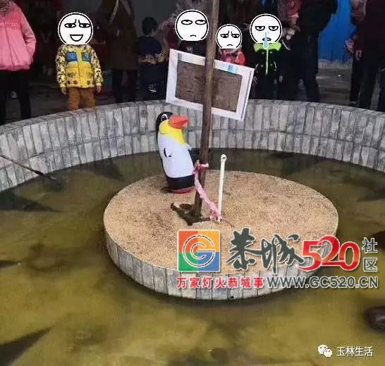 你在逗我吗？广西一“海洋世界馆”开张，现场只有十几个鱼缸437 / 作者:糕富帅 / 帖子ID:263236